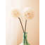 Fiori Allium Arrangement