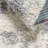 Round  Abstract Machine Made 8' Polypropylene Area Rug in Gray/Ivory/Brown-880028697