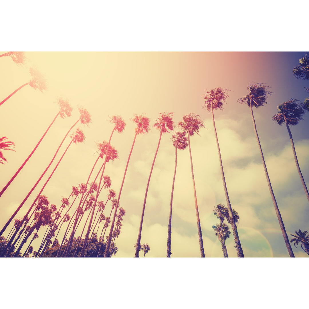 Palms Silhouettes - Wrapped Canvas Print