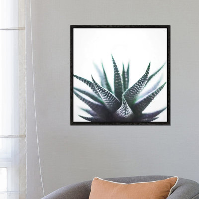 Green Topaz Plant by 83 Oranges - Gallery-Wrapped Canvas Giclée on Canvas