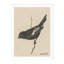 Lark Bunting Print