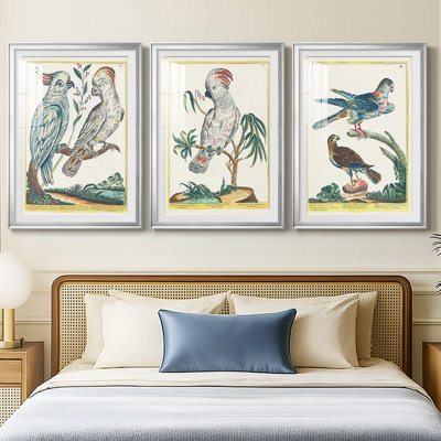 Oiseaux pastel I - impression encadrée de qualité supérieure sur mesure mat - 3 pièces