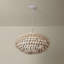 Ashland Pendant-593535563-593535561