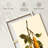 Pear Branch-1881897220