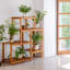 Plant Stand - Set of 5