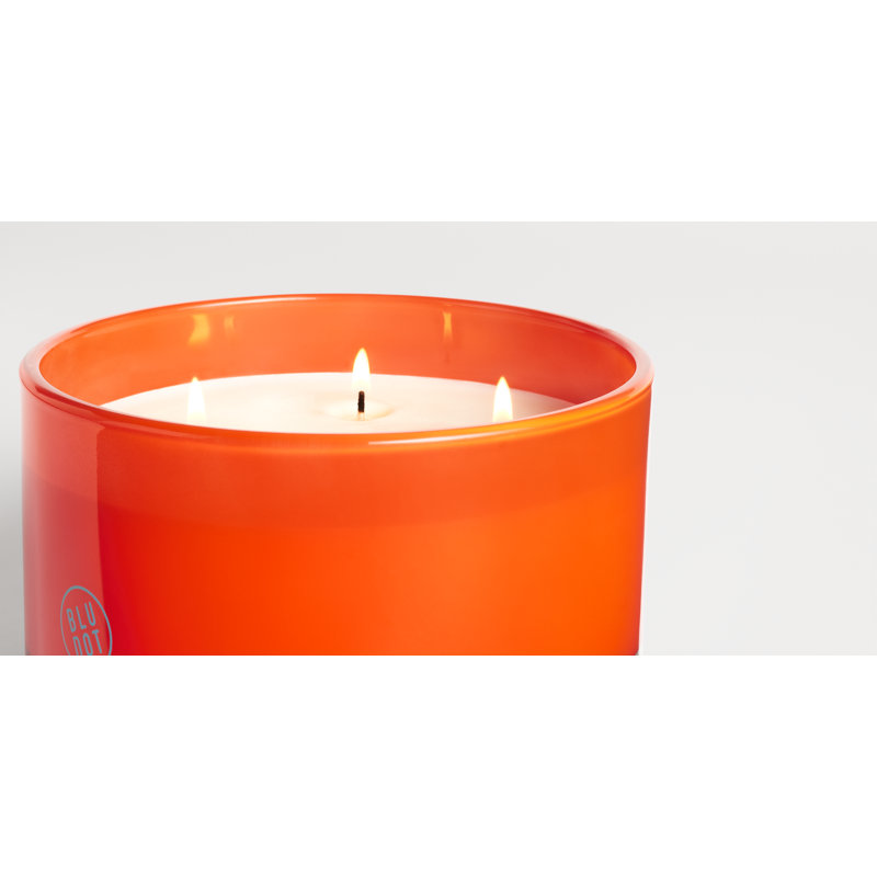 The Shop Candle, 20.6 fl oz