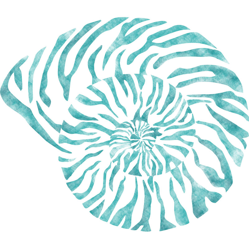 Décalcomanie murale coquille nautilus