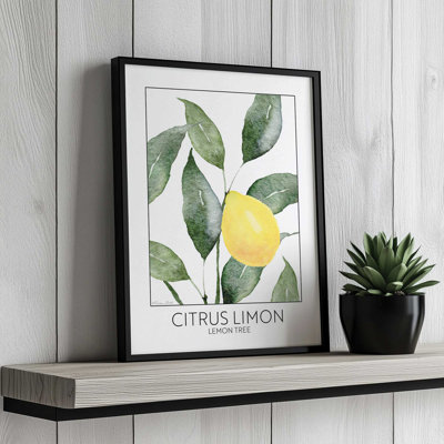 Lemon Tree by Susan Ball Art Print