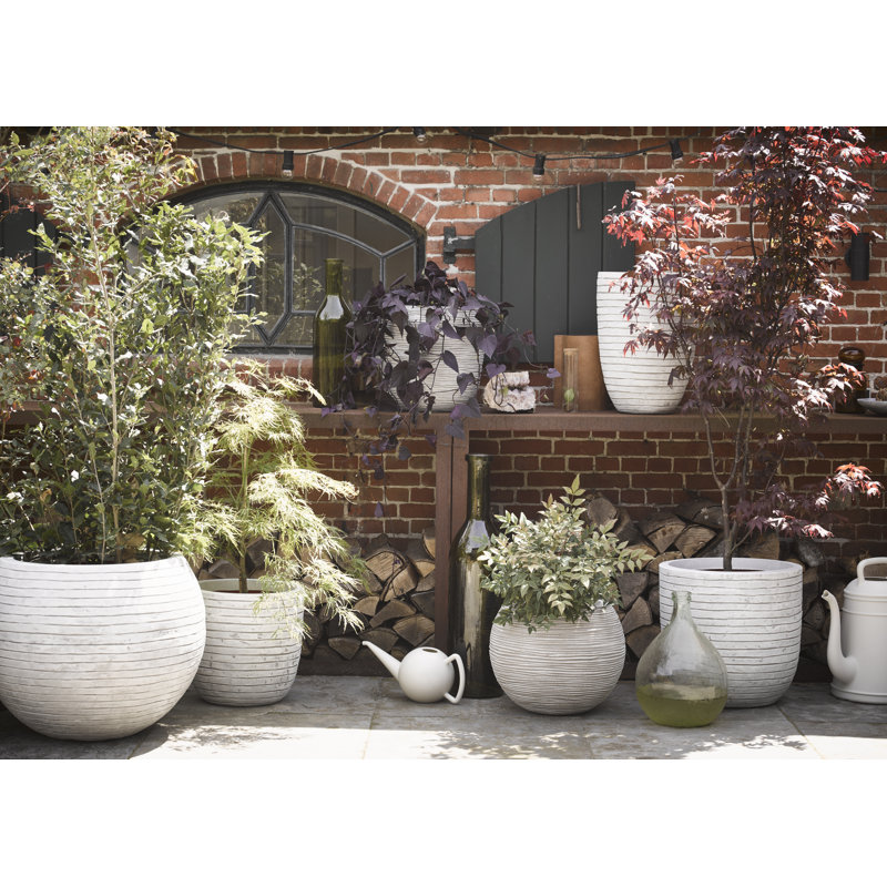 Pot Planter, 52cm H x 54cm W x 52cm D, Ivory
