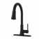Pfirst Series Pull Down Single Handle Kitchen Faucet with Accessories