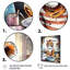 Tigre brun dans la salle de lavage-621227655
