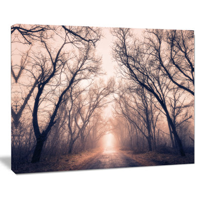 «Road Through Mystical Dark Forest», reproduction de photo sur toile tendue