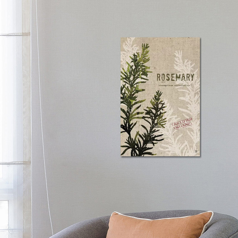 Organic Rosemary, No Butterfly by Studio Mousseau - Wrapped Canvas Gallery-Wrapped Canvas Giclée, 66.04 cm H x 45.72 cm W