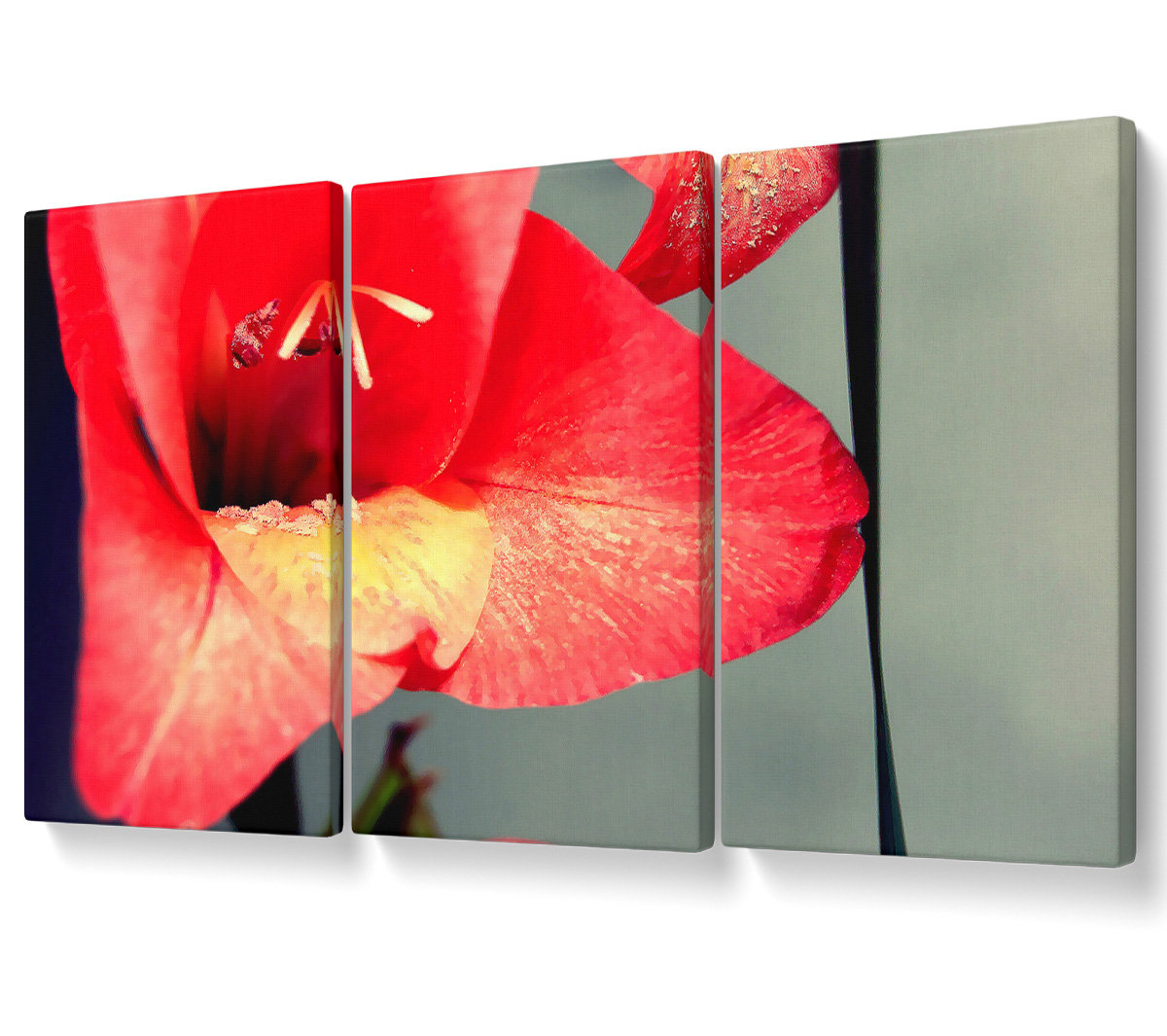 Ebern Designs Three Petal Red - 3 Piece Wrapped Canvas Photograph ...