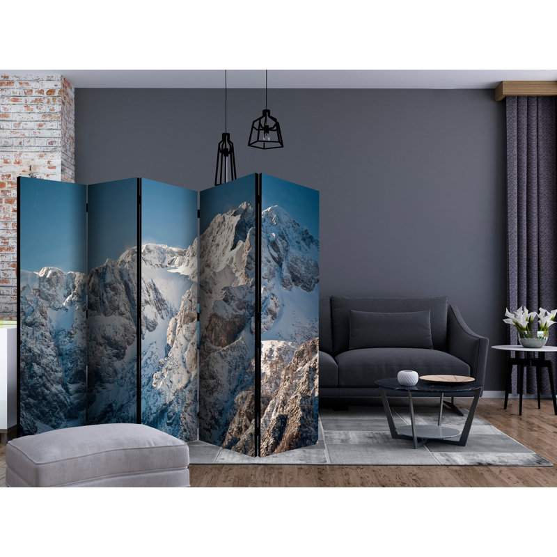225 cm W x 172 cm H 5 - Panel Solid Wood Folding Room Divider