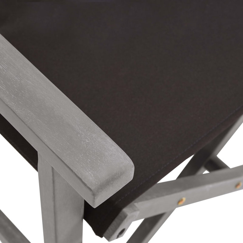 Adreanna Folding Director Chair, Black, Grey