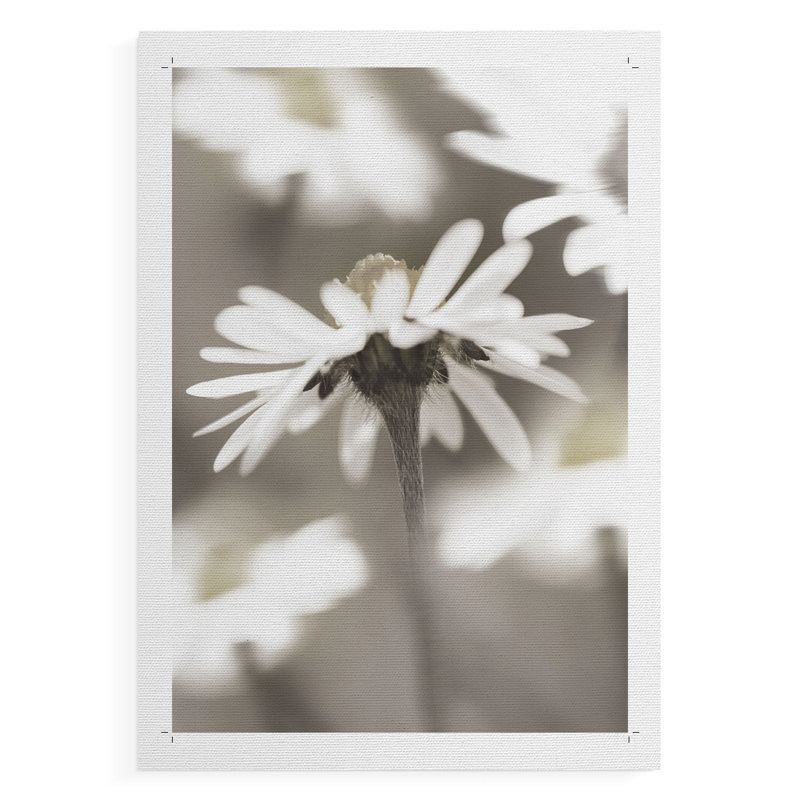 Marguerite stylisée II - Impression sur toile seulement - NON-CADRE, H 60 po x l 40 po