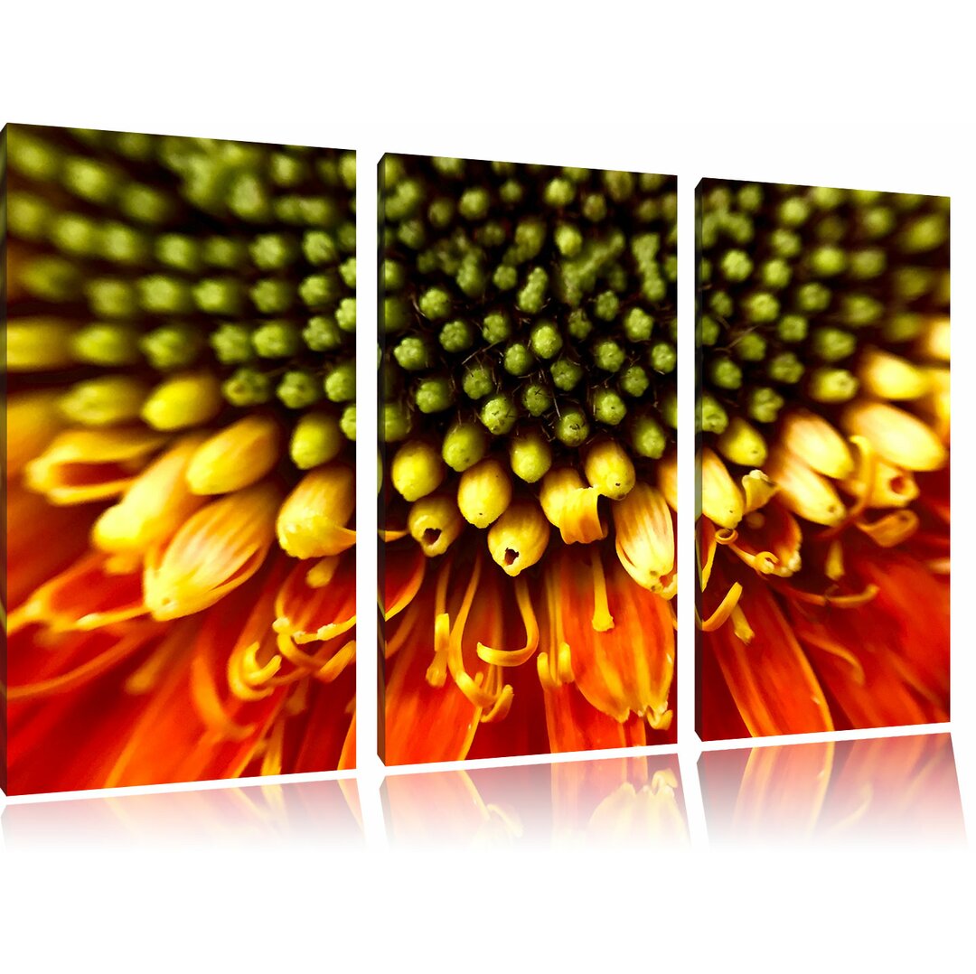 3-tlg. Leinwandbilder-Set Nahaufnahme einer orangefarbenen Gerbera, Fotodruck