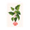 Thrive by Modern Tropical - Wrapped Canvas Painting
