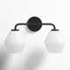 Rooks 2 - Light Dimmable Vanity Light