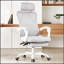 Chaise de bureau ergonomique avec repose-pieds, dossier en filet, support lombaire réglable pour une utilisation confortable à la maison ou au bureau-714898592-714898525
