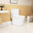 Ceramic Toilet With 1.1/1.6 , Comfort Height, White, Soft Close Seat, & One White Height Toilet, Flushing, One, And Approved
