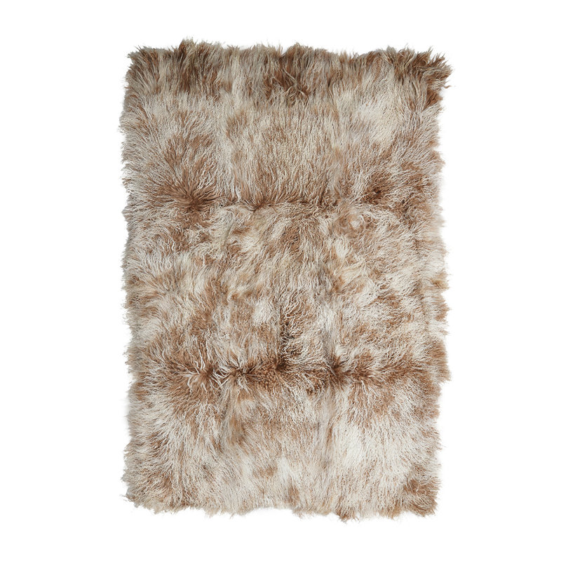 Cato Sheepskin Area Rug in Champagne Tipped