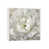 White Framed Canvas is unavailable