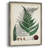 Collected Ferns II Framed Print - Solid Wood 2775366
