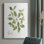 " Herb Basil "