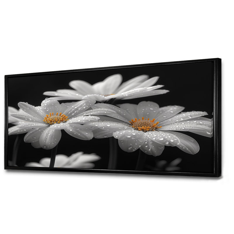 Monochrôme noir et blanc, bonheur, photo III - marguerites, art mural, Cadre flottant noir, 28" H x 60" W