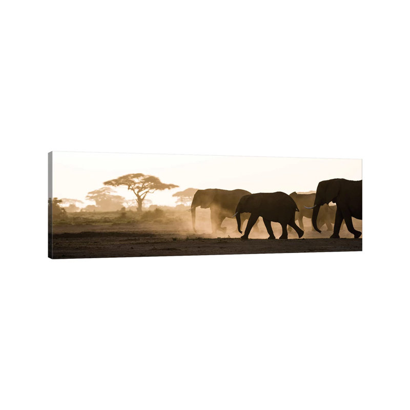 Africa, Kenya, Amboseli National Park. Backlit Elephants On The March by Jaynes Gallery - Wrapped Canvas Panoramic Print