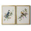 «Spring Song Grey Jay», ensemble de 2 reproductions sur toiles encadrées-61455532-61455530