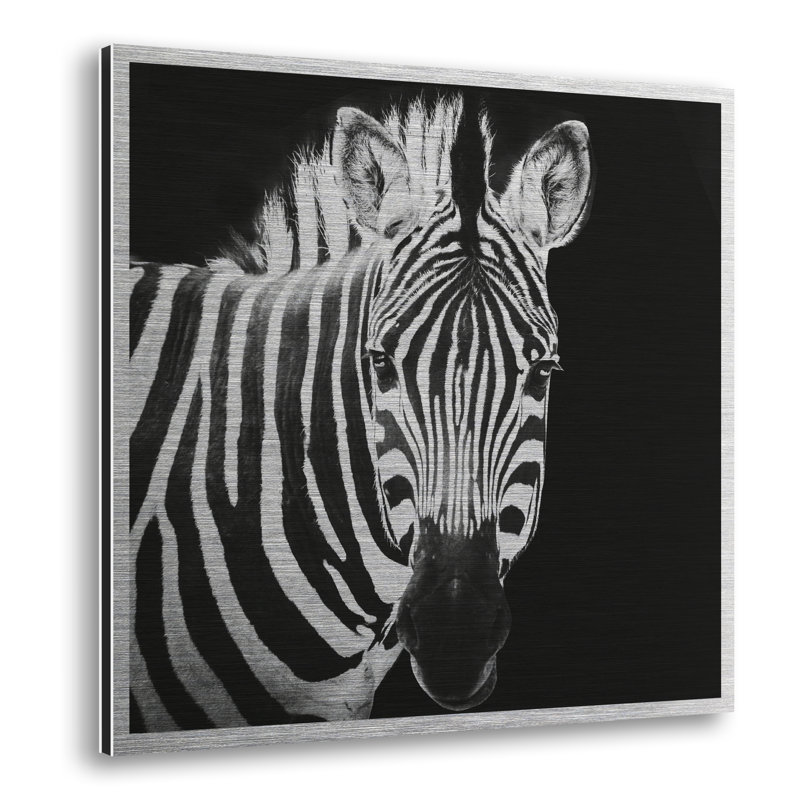 Zebra - No Frame Print on Metal