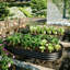 Grands lits de jardin d'extérieur modernes en acier galvanisé 8x4x1 Ft