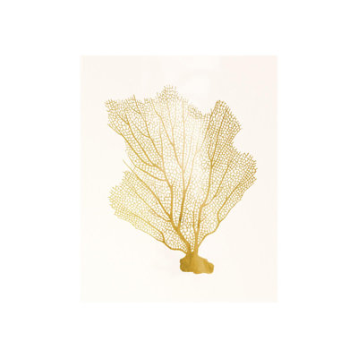 «Blush Coral III» par Sofia Fox - impression