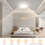 Chyra Acrylic LED Flush Mount