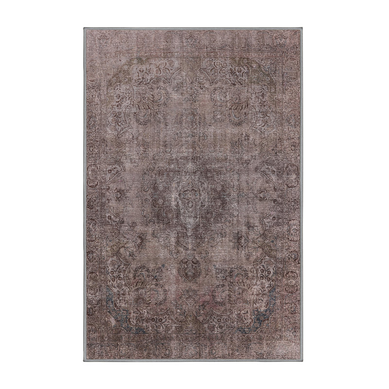 Riem Oriental Indoor Rug, Rectangle 2' x 4'