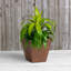Pot à fleurs en pierre Alaunah-80148656-80148668