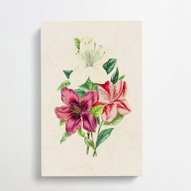 Illustration Of Beautiful Flowers - Wrapped Canvas Painting, 60cm H x 40cm W x 3cm D