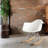 Dilan Plastic / Acrylic Rocking Chair-160688274