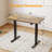 Latitude Adjustable Standing Desk-291692532-291692528