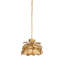 Pleione 1 - Light Pendant-344901110