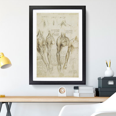 Human Anatomy Vol.8 by Leonardo Da Vinci - Framed Print