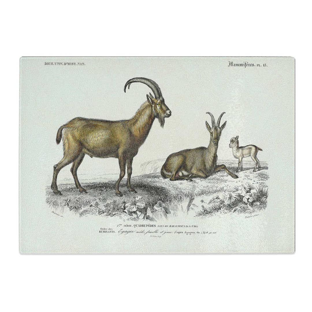 Tempered Glass Wild Goat Illustration by Charles D' Orbigny Chopping Board