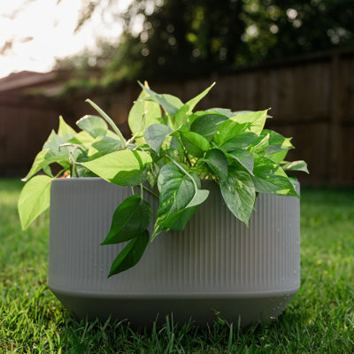 BOÎTE À PLATEAUX MODULAIRE