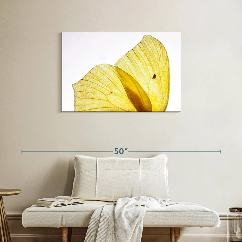 Ailes de papillon Brampt jaune doré, H 24 po x l 36 po