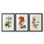 Turpin Tropical Botanicals VI - reproduction sur mesure encadrée de qualité supérieure - 3 pièces-1603302473-1603302475
