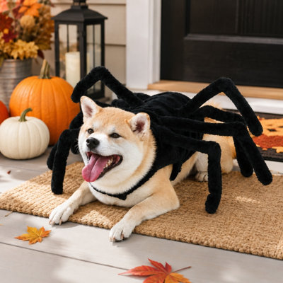 Déguisement de chien araignée d'Halloween avec 8 pattes décoratives