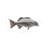 Coral Trout Fish Wall Décor